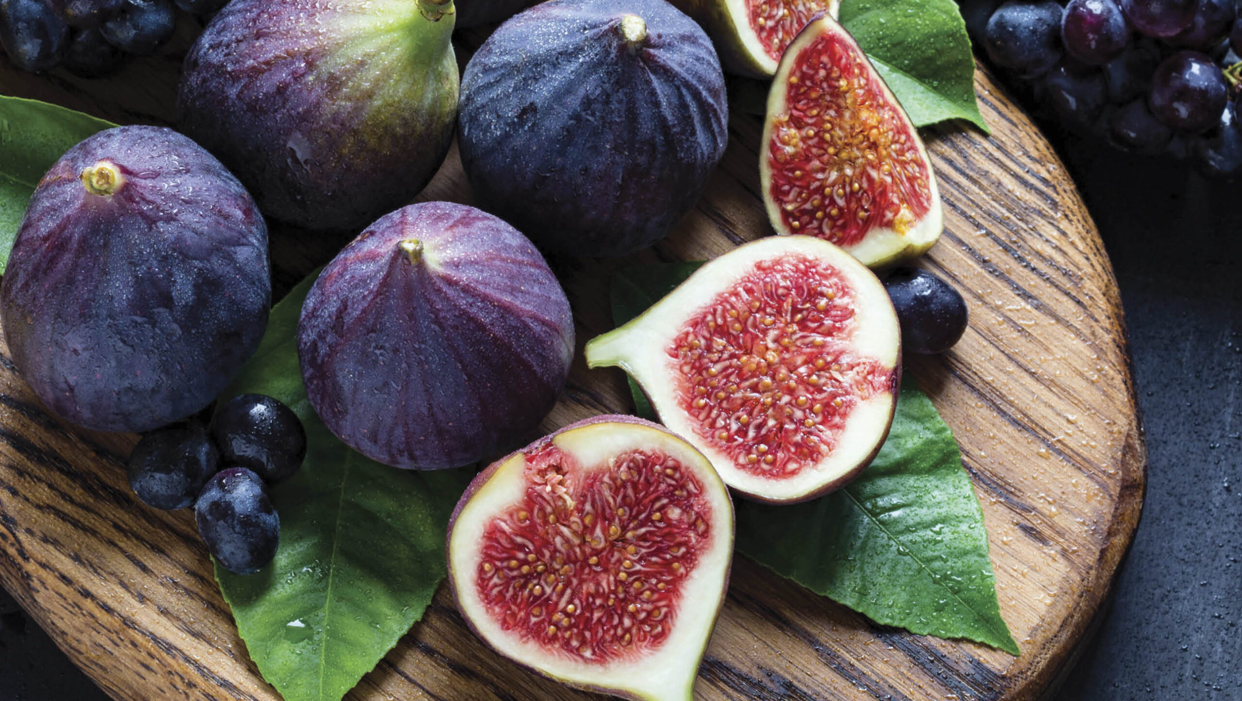 Figs are extremely long-lived and hardy.